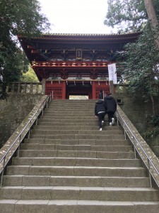 0D8CA0D8-BBC9-4DBB-8D0F-024E8FF749E9