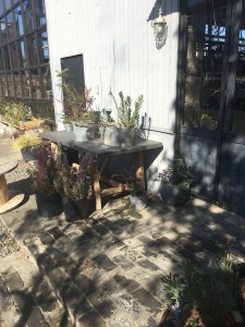 2F25493F-9AF8-485B-ACE0-9B4DFF30283A