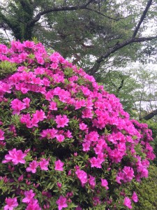 211426D4-DCB5-4863-9493-260C7D6BBC67