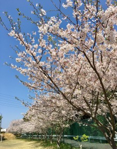 6C900630-36BE-4D60-A674-10A61CA32E18