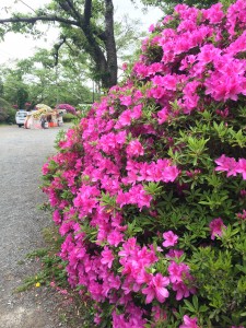 8853C2C1-A681-4F82-9CA9-1733F34382B4