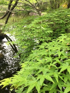 F7AB726F-A1A6-4E88-BBC5-9DDCCA39EB6B