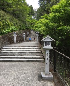 B7433D07-238C-421A-BD6A-29D0CE35D568