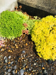 EA19731D-F3C9-4224-BD74-6DD4FCAA1B43