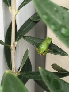 7B68FD66-50FE-4A1E-A364-098F7D46C3BB