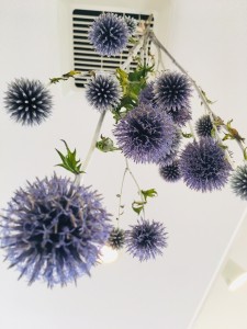 E17A5AA6-1DC6-4399-BEC5-ED1072EE9818