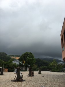 83B8BC83-99EA-4F9E-86D1-7A5D3821B172