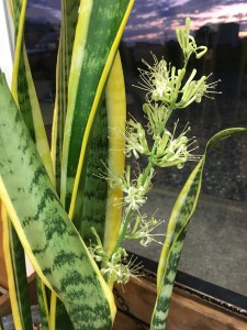 D9EF480F-D40F-4F6B-91EA-B5D6470FD287