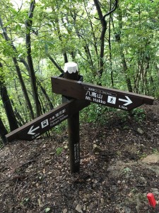 E0FB1A73-F249-48B4-A2DC-D63CDC3C66A6