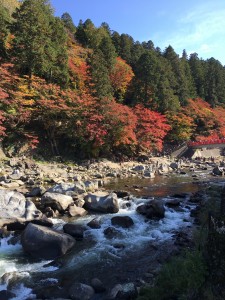 752A2CDB-A3A8-44E3-A034-5749850B3402