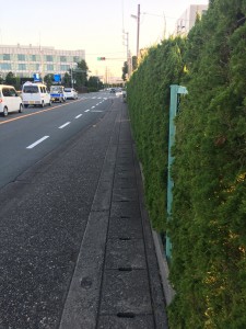 A3825DA8-97B9-482B-9D13-3D5CC3739076