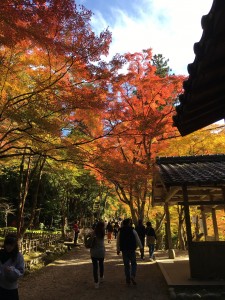 C5090BA5-4EBF-433B-8CD4-94E154C0A89E