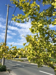 D86EF649-BA65-43EC-BD6C-5297320C0B89