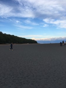 5D90538B-DFBD-452B-BDDC-44C45902A078