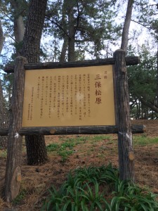 6009B367-52D7-4D12-BB63-28086BA22DDA