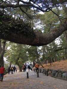 9A6CE44A-031E-4042-9228-56B5C52A2E10