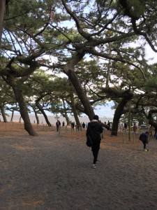 BD835088-D8BB-4344-971C-F28406204F69