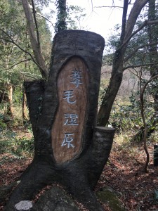 F8735D1D-A12A-4E8C-AA1D-B8B07D840E6E