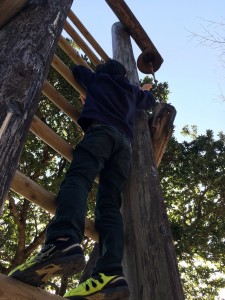 972FE1BB-BA94-4F32-BC66-C1D1498738C3