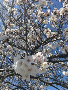 D77C4AC4-5C95-4D08-AC5E-5FE7A2D9DF35