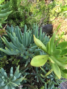 20EA9D3A-83C9-4AF0-88BA-0BA413F82CFD