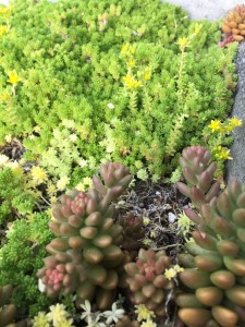 3EC2D22A-9ED5-41C5-AC3C-1BCF22604B0C