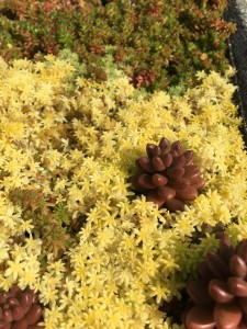 43F6639B-E1D8-4CA9-8ED9-AF65BDB4C5E9