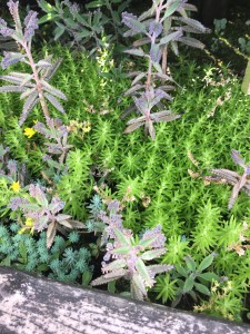 BA5BD12B-8760-4EBB-8D2F-36617D38A7DE