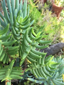 EC188A13-46B2-4EED-838F-6710686B2A6B