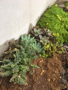 6E9271C2-D053-4725-AE6F-C86E0876F95A