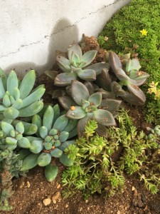 840D127F-D250-4231-952B-CA9E3ADC46F6